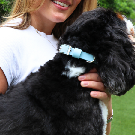 Collar Ice Blue - Tate & Taylor