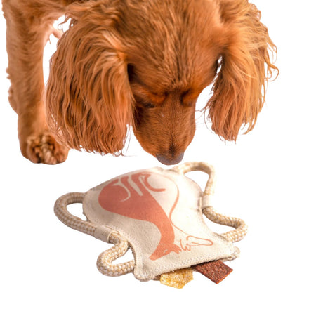 Canvas Gemini Vase Puzzle Toy with cocker spaniel dog
