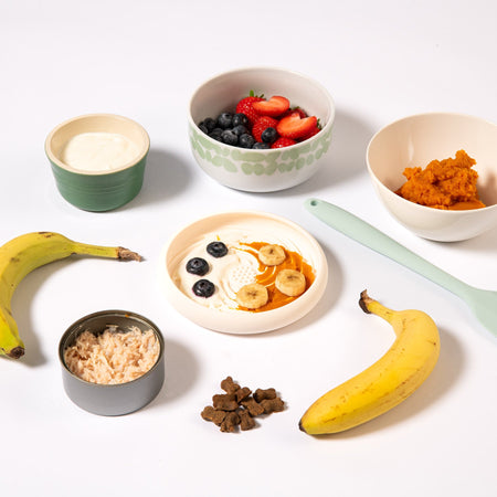 Lick Dish Slow Feeder