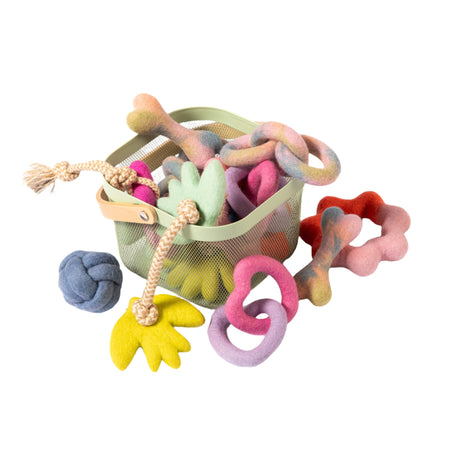 Toy box with a bunch of dog toys coming out