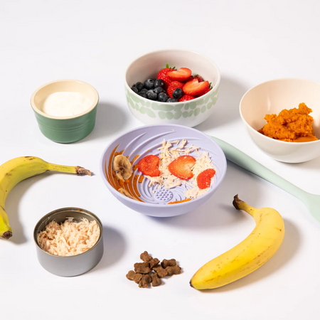 Wobbowl Lick & Slow Feeder Bowl - Tate & Taylor