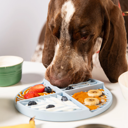 Paradise Lick Mat - Tate & Taylor