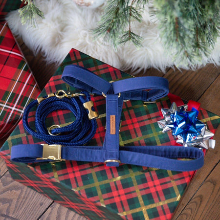 Ocean Marine Rope Dog Leash