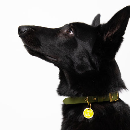 Ball is Life Tag - Tate & Taylor