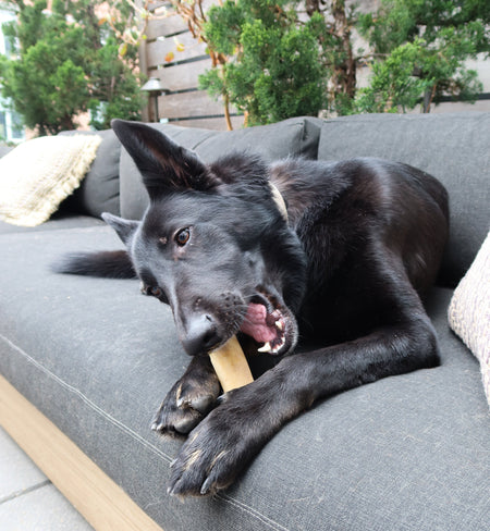 Berries 'n Pumpkin Cheese Bundle - Tate & Taylor