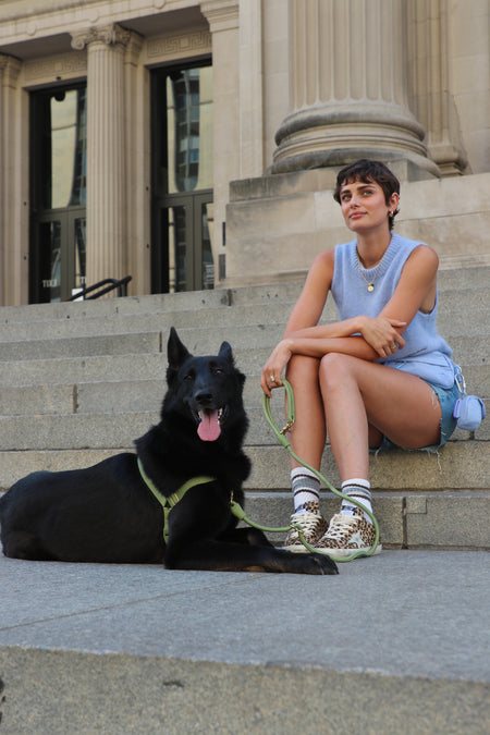 Roam Harness - Tate & Taylor