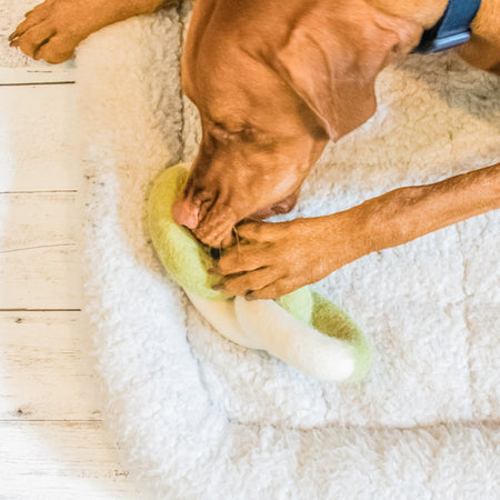 Dog chewing on the durable and eco-friendly Link Felt Dog Toy