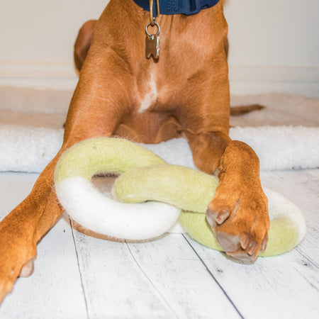 Dog putting paw on link toy
