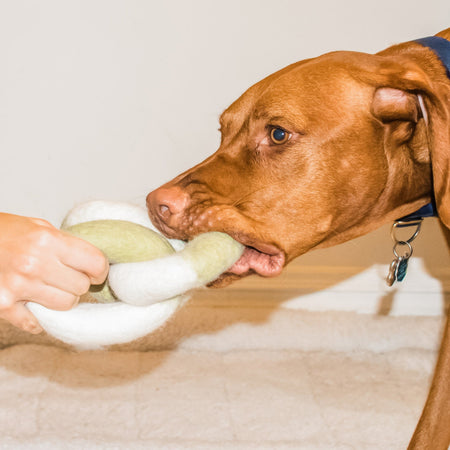 Dog chewing on the durable and eco-friendly Link Felt Dog Toy