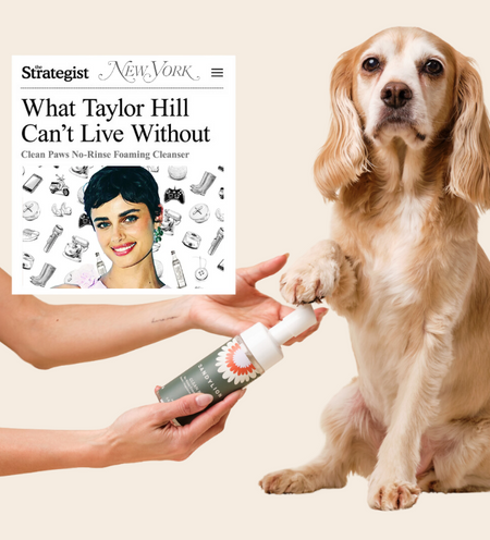 Clean Paws No-Rinse Foaming Cleanser