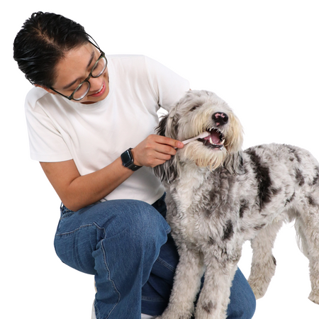 Puppy Polish & Polisher Bundle