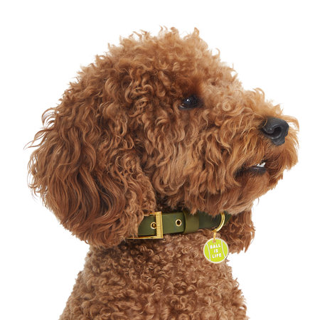 Ball is Life Tag - Tate & Taylor