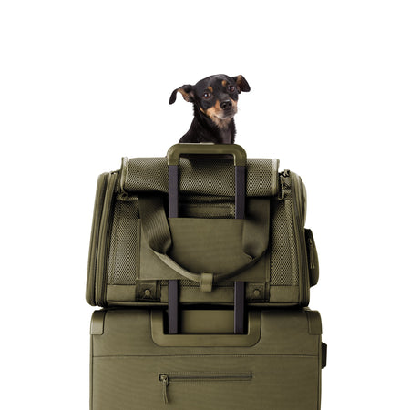 Kyoto Pet Carrier Dark Moss / Large