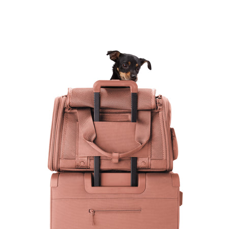 Kyoto Pet Carrier Warm Dust / Large