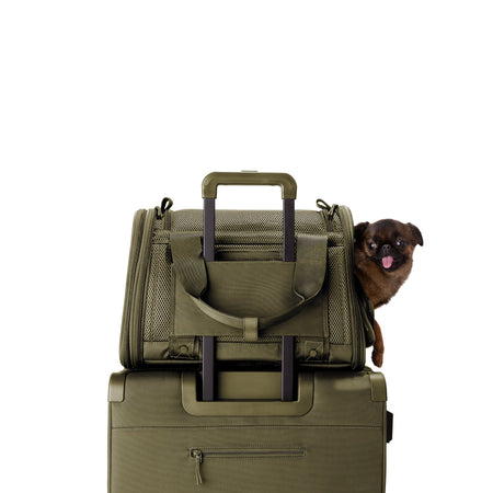 Kyoto Pet Carrier Dark Moss / Small