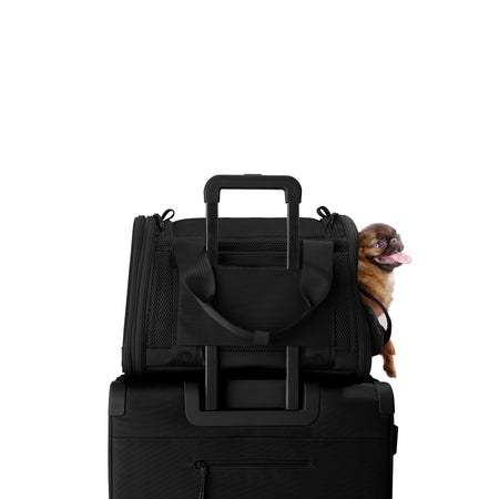 Kyoto Pet Carrier Onyx / Small