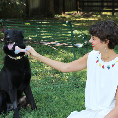 Black German Shepherd dog with bone dog toy