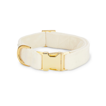 Ivory Velvet Dog Collar