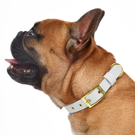 Collar Sandy Beach - Tate & Taylor