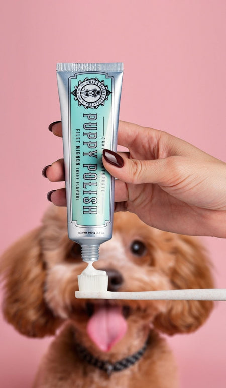 Puppy Polisher Eco Toothbrush (Regular size)