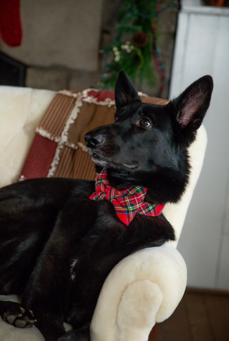 Tartan Plaid Flannel Bow Tie Collar