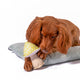 Dog sitting on pillow with mushroom toy