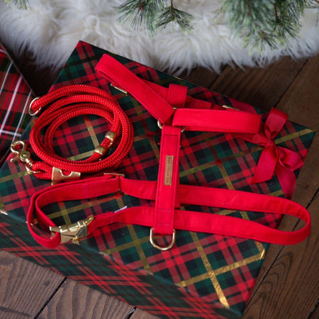 Ruby Marine Rope Dog Leash