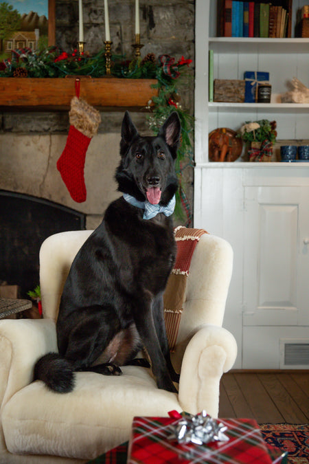 Blue Frost Plaid Flannel Bow Tie Collar