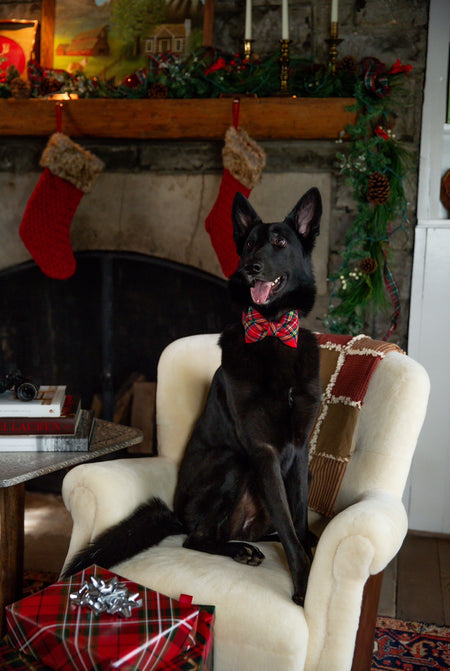 Tartan Plaid Flannel Bow Tie Collar