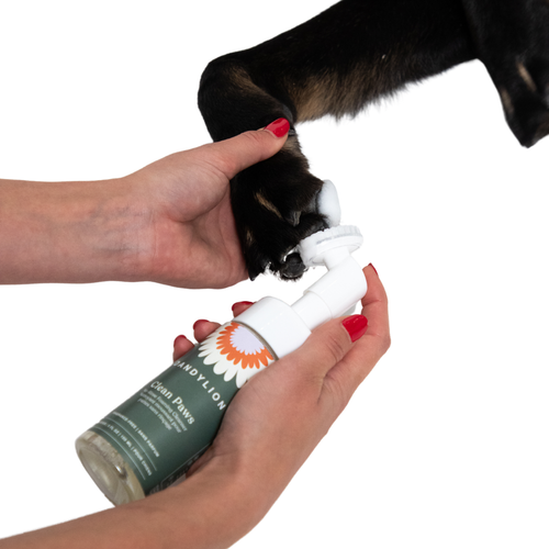 Clean Paws No-Rinse Foaming Cleanser - Tate & Taylor