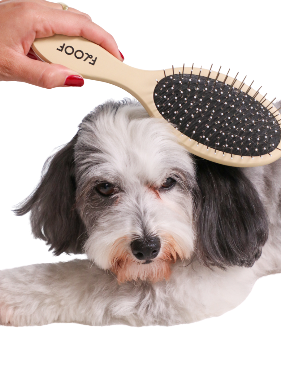 Gray and white dog being brushed with Floof double sided brush