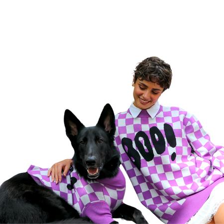 Purple People Eater Pet Sweater