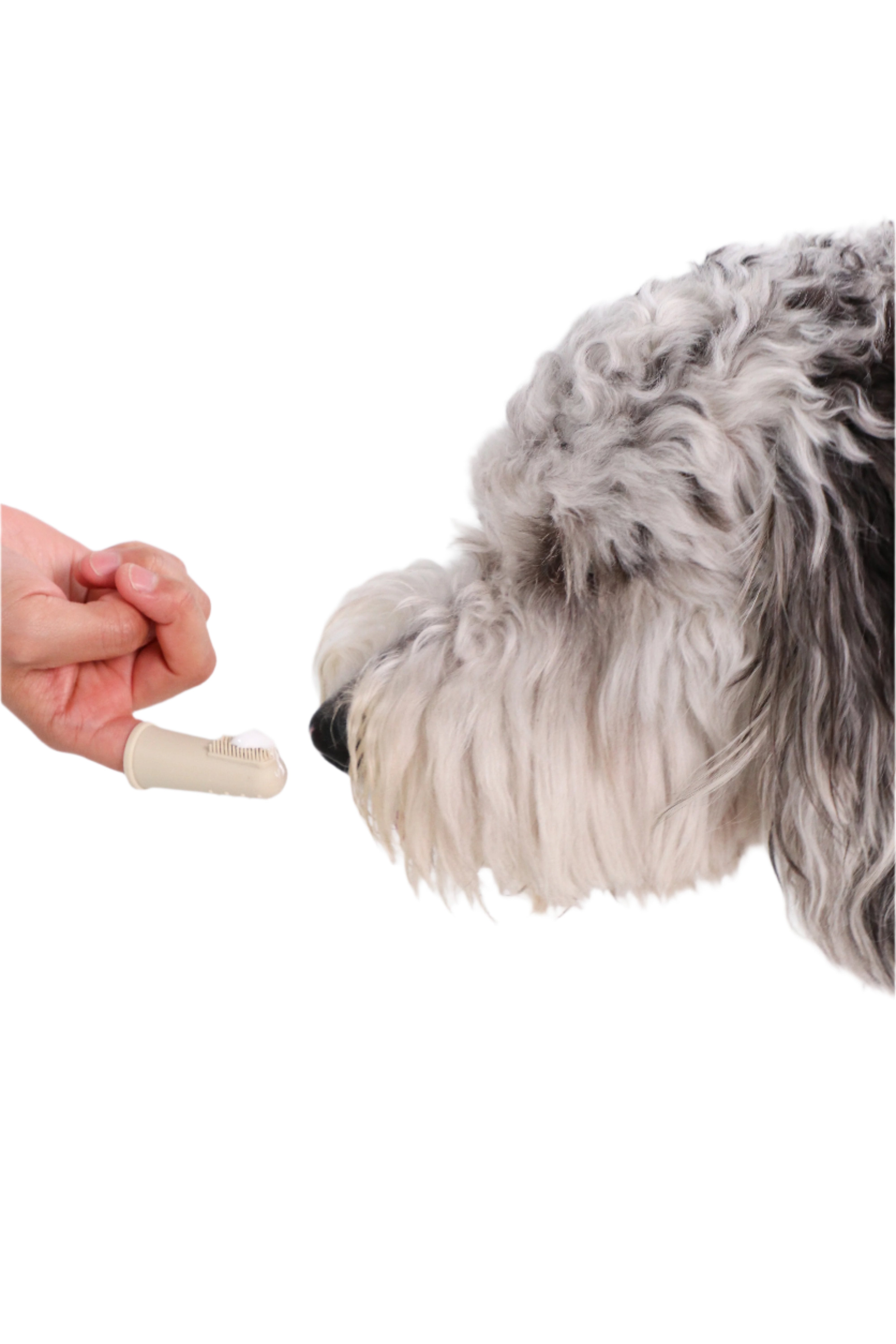 Puppy Polisher Silicone Finger Brush