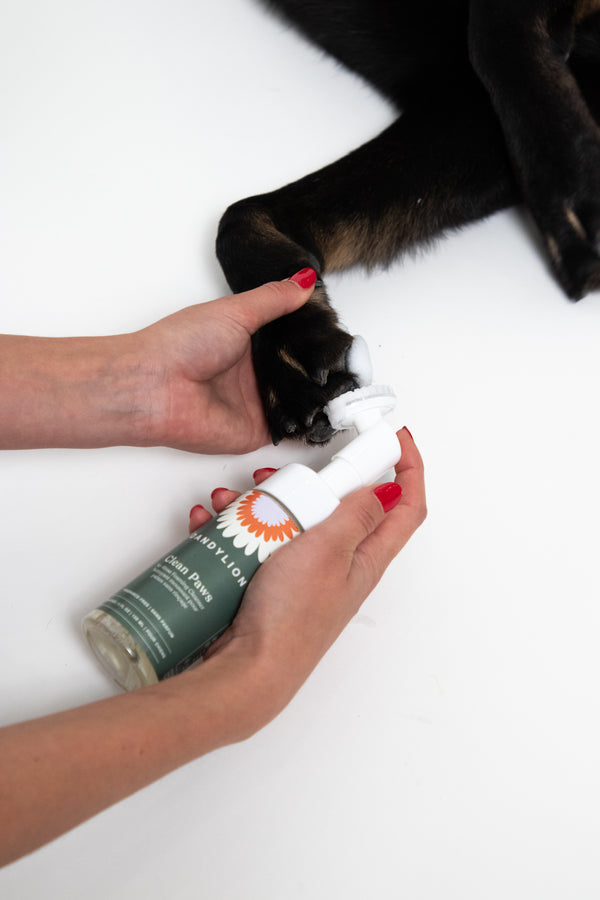 Clean Paws No-Rinse Foaming Cleanser