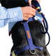 Ocean Dog Harness - Tate & Taylor