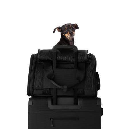 Kyoto Pet Carrier Onyx / Large