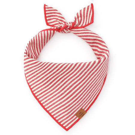 Red Stripe Dog Bandana - Tate & Taylor