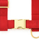 Ruby Dog Harness - Tate & Taylor