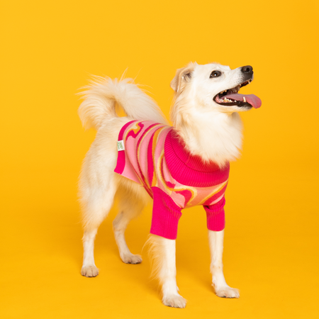 Pink Lemonade Pet Sweater