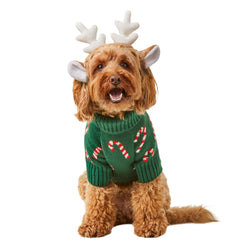 Candy Canes Dog Sweater