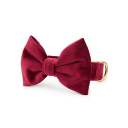 Burgundy Velvet Bow Tie Collar